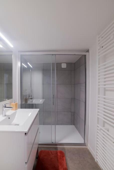 Appartement Cosy Hyper Centre エピナル エクステリア 写真